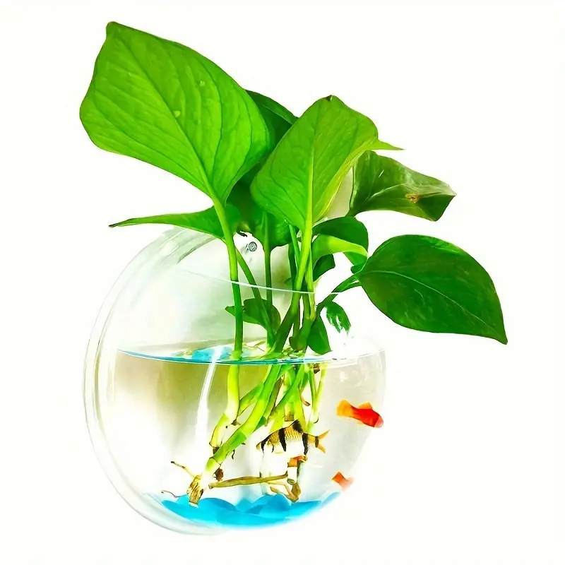 Vaso De Flores Hidropônico Modelo Parede